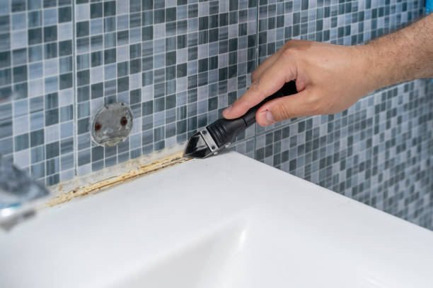 Best Local Mold Removal Service  in Elm Creek, NE